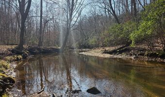 PAYNES POND RD, Arvonia, VA 23004
