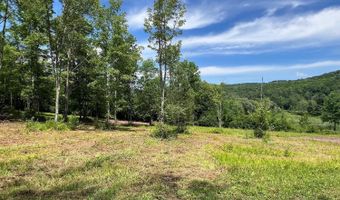 0 Woodland Hills Rd, Andes, NY 13731