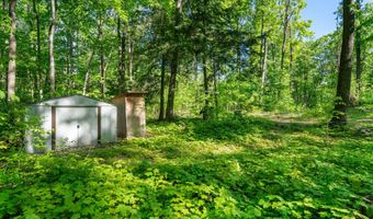 9707 Rogers Rd, Alanson, MI 49706
