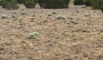 8206 TBD N8206, Concho, AZ 85924
