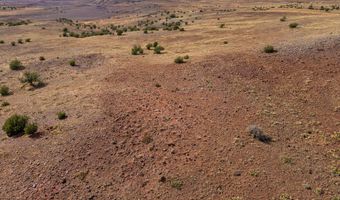 N8491, Concho, AZ 85924
