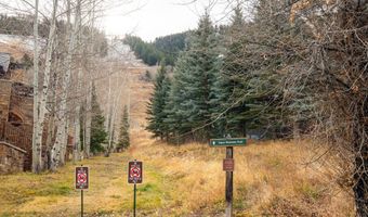 700 S Monarch St 207, Aspen, CO 81611