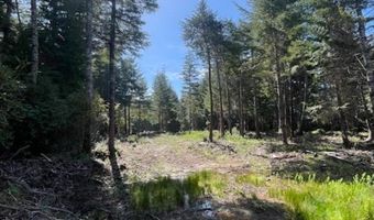 47613 Oregon Coast Hwy 1401, Bandon, OR 97411