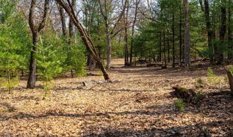 Dover Drive lot 2 +/-43 Ac, Adams, WI 53910