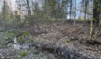 V/L Wildwood Road lot 1, Alger, MI 48610