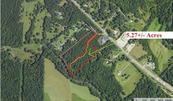 0 CANOE Dr 5.2 Acres - Portion of the Parcel offered on mls, Ashville, AL 35953