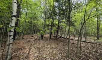 Stewart Road, Addison, NY 14801