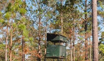 221 Old Faceville Rd, Bainbridge, GA 39817