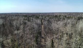 5280 Cathro Rd, Alpena, MI 49707