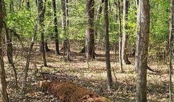 1642 R2 Kersey Valley Rd, Archdale, NC 27265