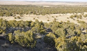 20 County Road 3044, Concho, AZ 85924