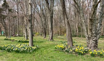 13801 MANOR Rd, Baldwin, MD 21013