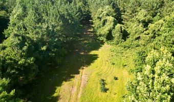 AL HWY 223, Banks, AL 36005