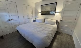 927 VINE St, Aspen, CO 81611
