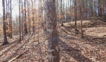 590 247 Country Rd, Bruce, MS 38915