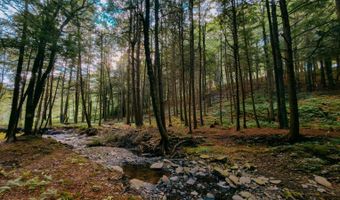 0 Weidick Rd, Andes, NY 13731