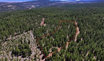 8193 Carlsberg Rd, Alturas, CA 96101