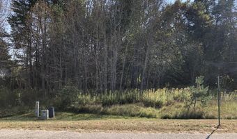 6430 Admirals Point Dr, Alanson, MI 49706
