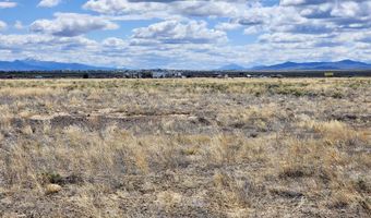 Crescent Avenue, Crescent Valley, NV 89821