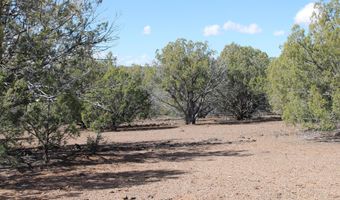 5079 N Pineveta Rd, Ash Fork, AZ 86320