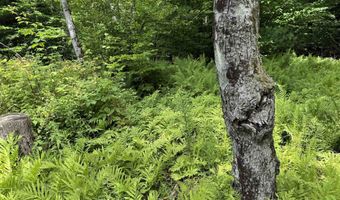 1386 Clif Reynolds Rd, Cambridge, VT 05444