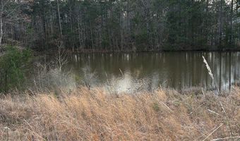 Hwy 9, Blue Springs, MS 38828