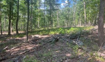 242 Brush Mountain Rd, Altoona, PA 16601