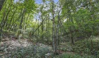 6545 Long Run Rd, Athens, OH 45701