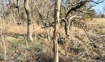 0001 CR-290, Asbury, MO 64832