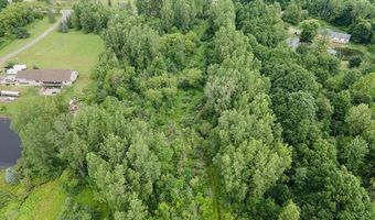 Birch Run Rd, Arbela, MI 48746