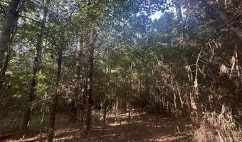 Lot 3a Elberton Highway, Lincolnton, GA 30817