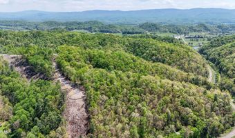 Tbd Green Springs Road, Abingdon, VA 24211