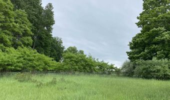 Parcel A Cemetery Road, Alden, MI 49612