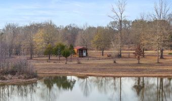 206 E Palmer St, Blue Mountain, MS 38610