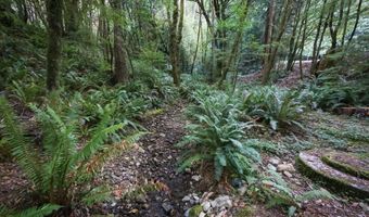 1107 WINCHUCK RIVER Rd, Brookings, OR 97415