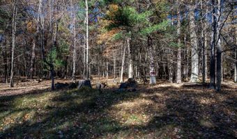 Lot 33 S Badger Lane, Arkdale, WI 54613