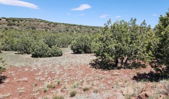 Lot 30 Off Old Hwy 66, Ash Fork, AZ 86320