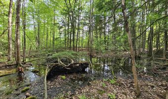 Province Road lot 26, Belmont, NH 03220