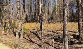 TM 407 L 35 Shem Valley Road, Alexandria, NH 03222