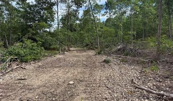 Tract 2 Hidden Valley, Annapolis, MO 63628