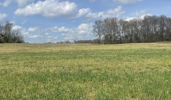 2375 Antioch Church Rd, Alvaton, KY 42122