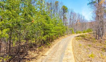 Larkin Mountain, Amherst, VA 24521
