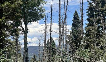 Lot 22 Hinz Drive, Angel Fire, NM 87710