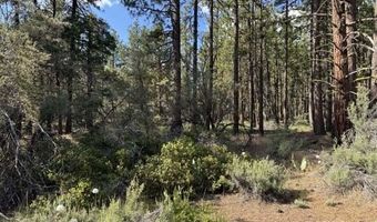 Thunder Bear Road, Bonanza, OR 97623