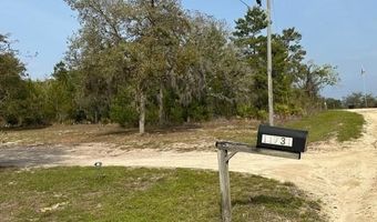 11850 NE 108 St, Archer, FL 32608