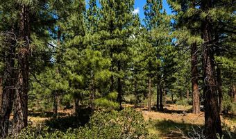 406 Rose Summit Trl Lot 348, Carson City, NV 89705