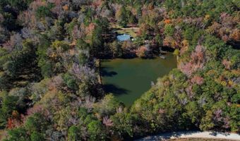 1155 Russ Brown, Blythewood, SC 29016