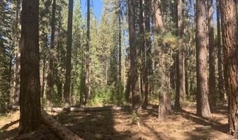 Edgewater Way lot 84, Adin, CA 96006