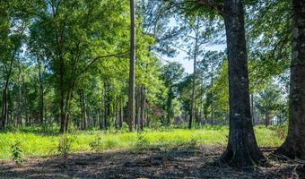 221 Ac Crestview Rd, Arlington, GA 39813