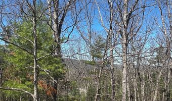 393 SPITZ Ln 99, Basye, VA 22810